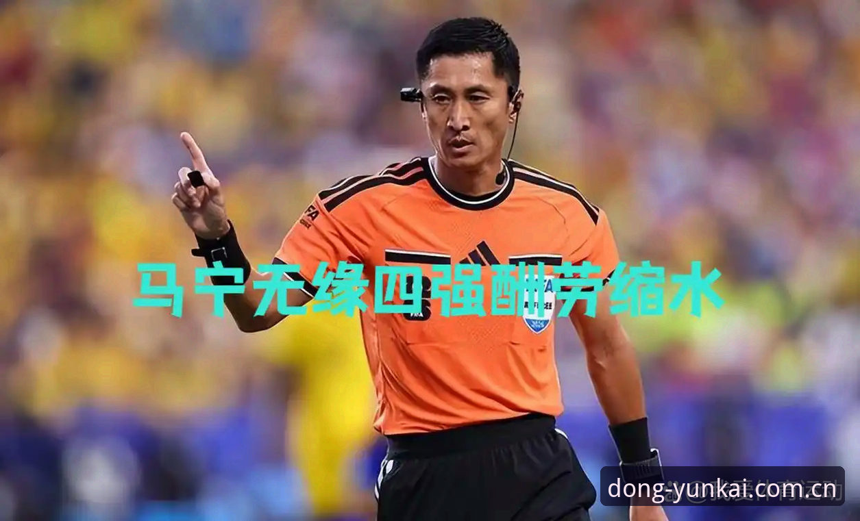 马宁世界杯执裁背后：一场关于数据、评价与算法的深度解析